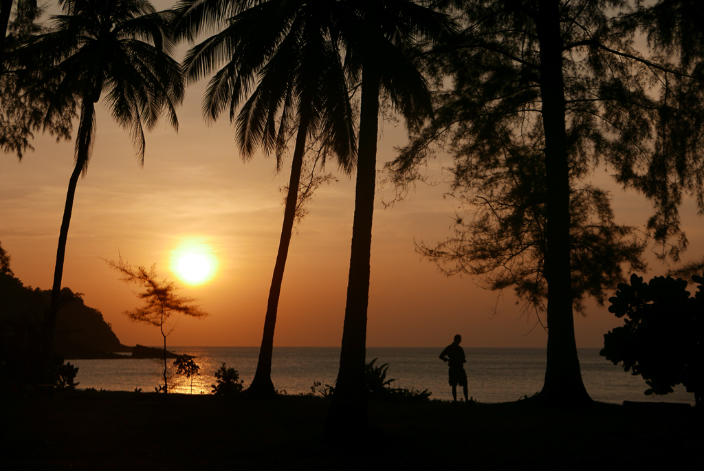 Sunset from the coconut tree plantation, Tarutao (photo by Irina Stelea)