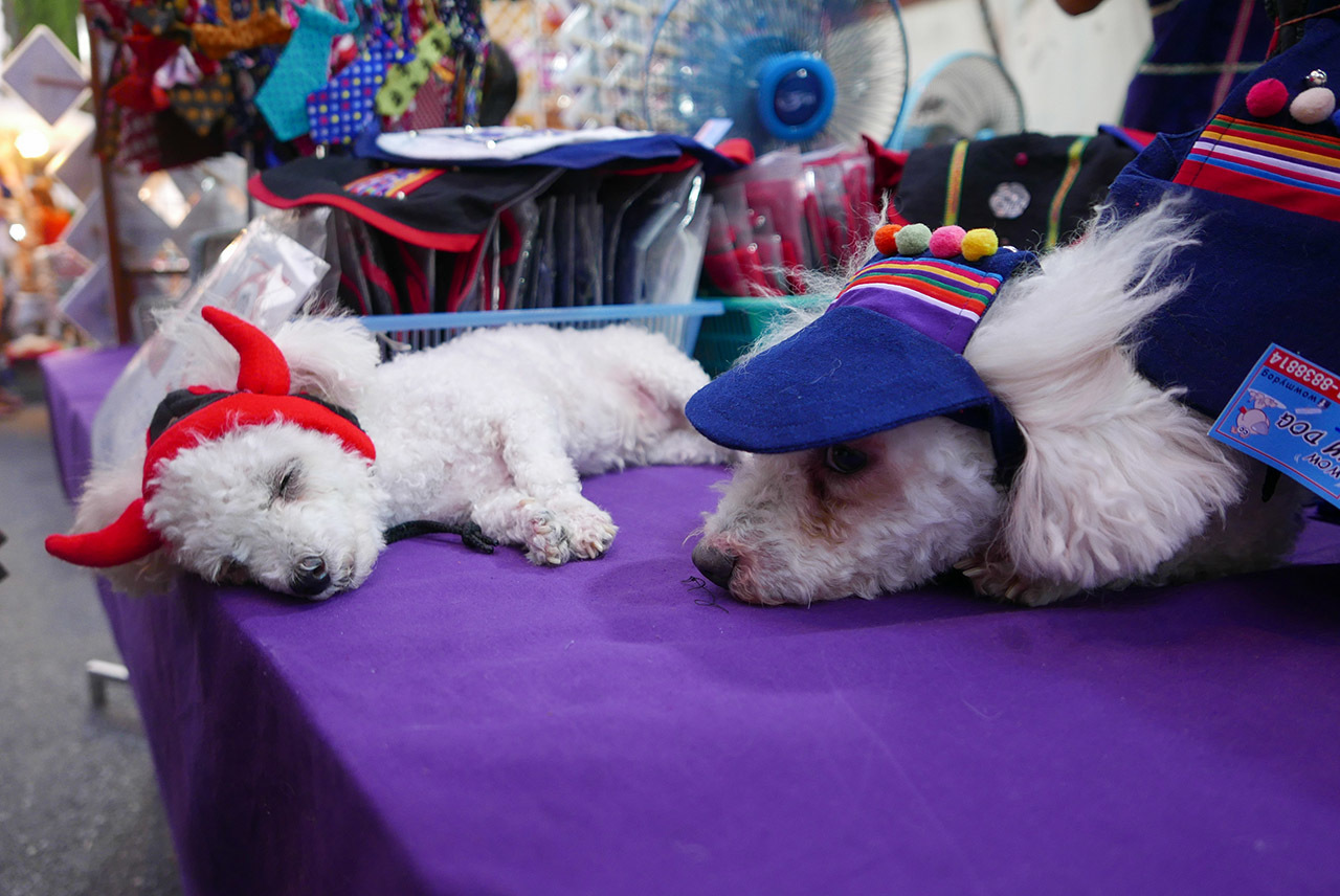 Saturday Walking Street, Chiang Rai (photo by Irina Stelea)