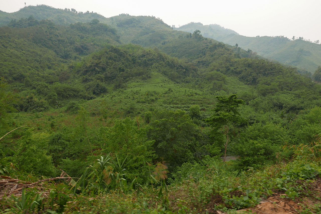 Bus to Phongsali, Laos